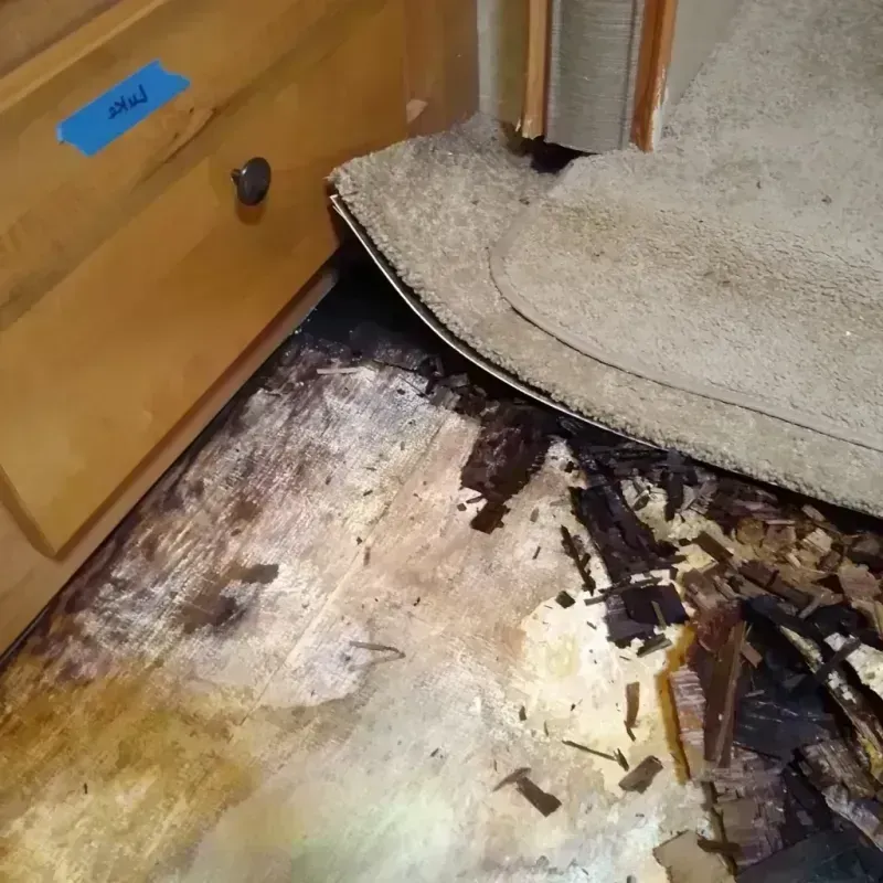 Wood Floor Water Damage in Westchester, FL